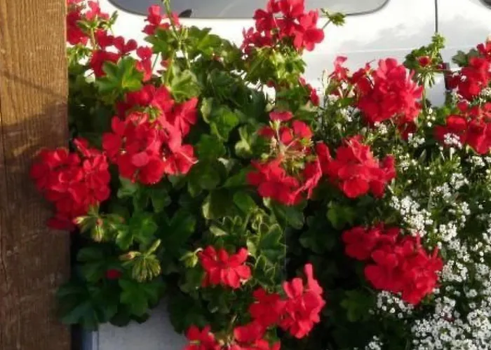 Apartment Haus Schoenberg By Interhome