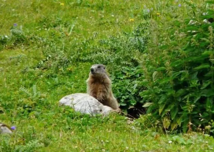 Haus Schoenberg By Interhome